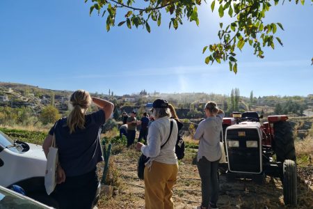 Cappadocia Beekeeping Experience 🐝